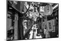 Premium Photographic Print