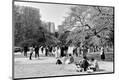 Photographic Print