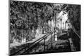 Premium Photographic Print