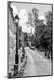 Premium Photographic Print