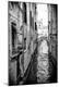Photographic Print