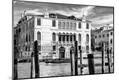 Photographic Print