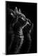 Premium Photographic Print