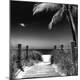 Premium Photographic Print