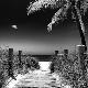 Premium Photographic Print
