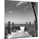Photographic Print