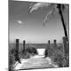 Photographic Print