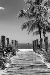 Paradisiacal Beach overlooking Downtown Miami - Florida-Philippe Hugonnard-Photographic Print