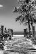 Premium Photographic Print