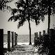 Premium Photographic Print