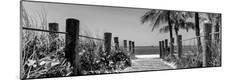 Premium Photographic Print