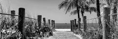 Premium Photographic Print
