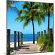 Premium Photographic Print