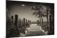 Photographic Print