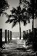 Premium Photographic Print