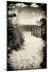 Photographic Print