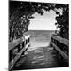 Premium Photographic Print