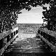 Premium Photographic Print