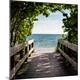 Premium Photographic Print