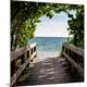 Premium Photographic Print