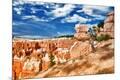 Photographic Print