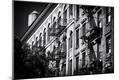 Photographic Print