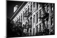 Photographic Print