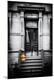 Premium Photographic Print