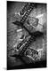 Photographic Print