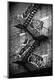 Photographic Print