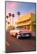 Premium Photographic Print