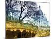 Premium Photographic Print