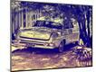 Photographic Print