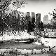Premium Photographic Print