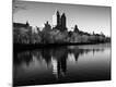 Photographic Print