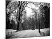 Photographic Print