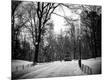 Photographic Print