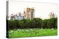 Stretched Canvas Print