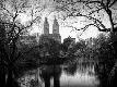 Premium Photographic Print
