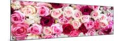 Premium Photographic Print