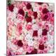 Premium Photographic Print