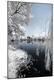 Photographic Print
