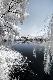 Premium Photographic Print