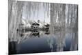 Premium Photographic Print