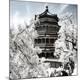 Premium Photographic Print