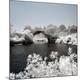 Premium Photographic Print