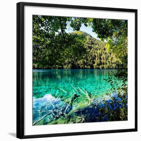 Photographic Print, , large