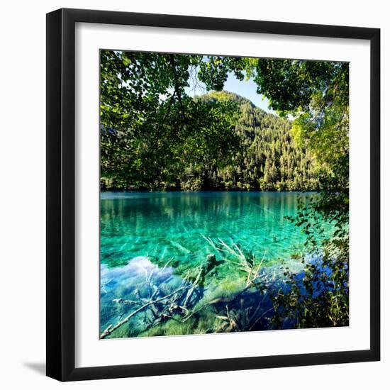 Photographic Print, , large