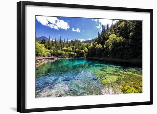 Photographic Print, , large