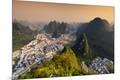 Premium Photographic Print